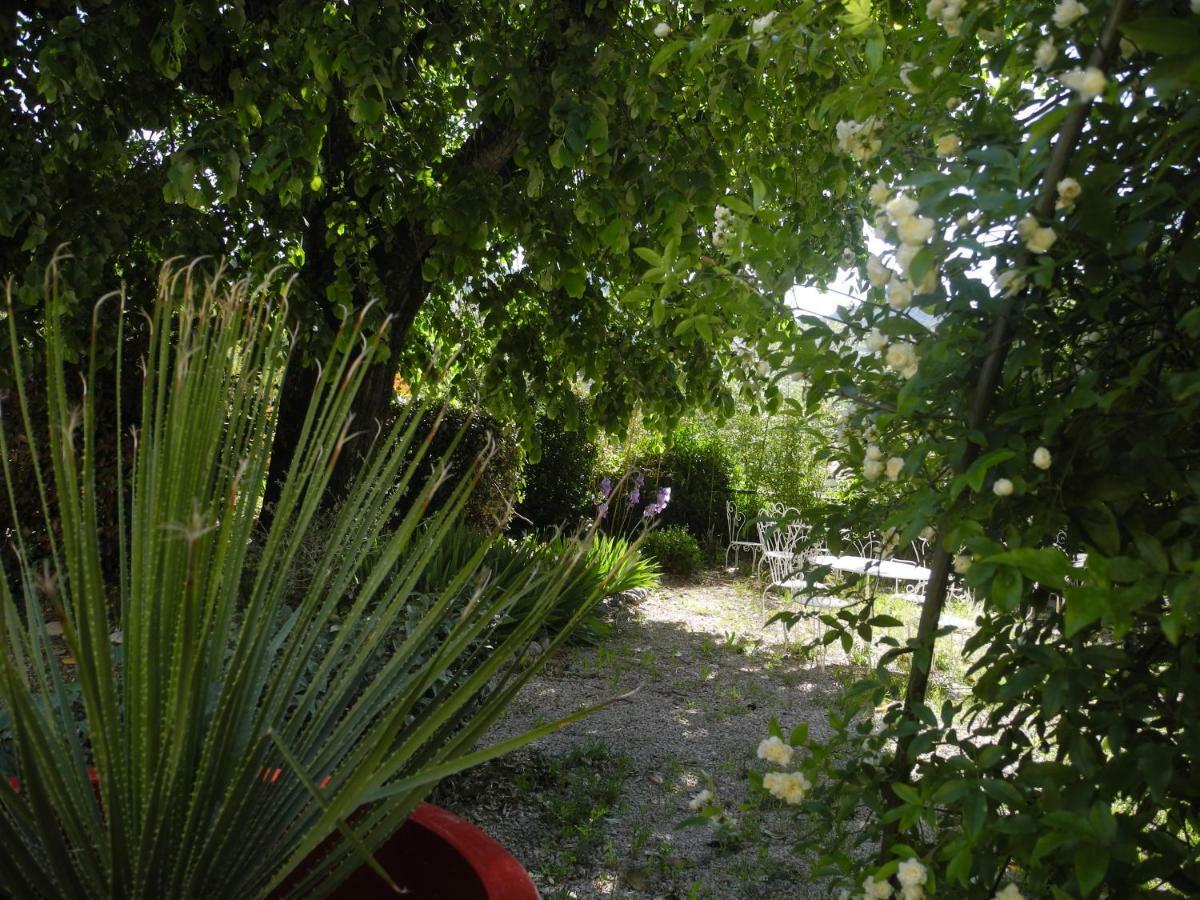 Le Comptoir Du Ranc De Bannes Sumène Exterior foto